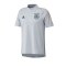 adidas DFB Deutschland Tee T-Shirt Hellgrau - grau