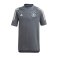 adidas DFB Deutschland Tee T-Shirt Kids Grau - grau