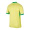 Nike Brasilien Trikot Home 2024 Copa America 2024 Gelb F706 - gelb