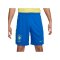 Nike Brasilien Short Home 2024 Copa America 2024 Blau F458 - blau