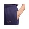 Nike England Issue Trainingshose EM 2024 Lila F555 - lila