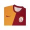 Nike Galatasaray Istanbul Trikot Home 2023/2024 Orange F836 - orange