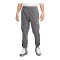 Nike Fleece Jogginghose Grau F068 - grau