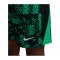 Nike Academy Pro Short Grün F324 - gruen