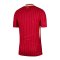 Nike FC Liverpool Auth. Trikot Home 2024/2025 Rot F688 - rot