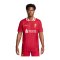 Nike FC Liverpool Auth. Trikot Home 2024/2025 Rot F688 - rot