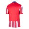 Nike Atletico Madrid Trikot Home 2024/2025 Blau F406 - blau