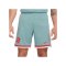 Nike Atletico Madrid Short Away 2024/2025 Grün F017 - gruen