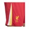 Nike FC Liverpool Short Home 2024/2025 Rot F687 - rot
