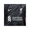 Nike FC Liverpool Torwarttrikot kurzarm 2024/2025 Kids Schwarz F061 - grau