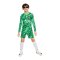 Nike Paris St. Germain Torwartshort 2024/2025 Kids F329 - gruen