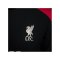 Nike FC Liverpool Auth. Trainingsshirt Schwarz F013 - grau