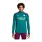 Nike Paris St. Germain Auth. Drill Top Grün F382 - gruen