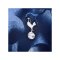 Nike Tottenham Hotspur Prematch Shirt 2024/2025 Blau F425 - blau