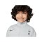 Nike Tottenham Hotspur Anzug Kids Grau F098 - grau