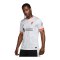 Nike FC Liverpool Trikot 3rd 2024/2025 Weiss F101 - weiss