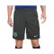 Nike FC Barcelona Strike Short 3rd Grau F060 - grau