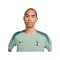 Nike Tottenham Hotspurs Strike Trainingshirt 3rd Grün F380 - gruen