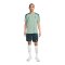 Nike Tottenham Hotspurs Strike Trainingshirt 3rd Grün F380 - gruen