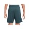 Nike Tottenham Hotspurs Strike Short 3rd Kids Grün F359 - gruen