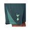 Nike Tottenham Hotspurs Strike Short 3rd Kids Grün F359 - gruen