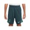 Nike Tottenham Hotspurs Strike Short 3rd Kids Grün F359 - gruen