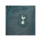 Nike Tottenham Hotspurs Academy Anthem Jacke 3rd Kids Grün F360 - gruen