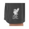 Nike FC Liverpool Academy Short Kids Grau F060 - grau