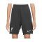 Nike FC Liverpool Academy Short Kids Grau F060 - grau