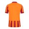 Nike Galatasaray Istanbul Trikot UCL 2023/2024 Orange F836 - orange
