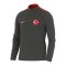 Nike Türkei Academy Pro Trainingsshirt EM 2024 Grau Weiss F060 - grau