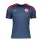 Nike Türkei Strike T-Shirt EM 2024 Grau Weiss F060 - grau