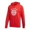 adidas FC Bayern München DNA Graphic Hoody Rot - rot