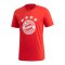 adidas FC Bayern München DNA Graphic T-Shirt Rot - rot