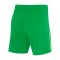 Nike VfL Wolfsburg Short Home Away 2024/2025 Grün Weiss Grün F310 - gruen