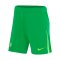 Nike VfL Wolfsburg Short Home Away 2024/2025 Grün Weiss Grün F310 - gruen