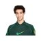 Nike Brasilien Soccer Trikot Copa America 2024 Grün F397 - gruen