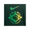 Nike Brasilien Soccer Trikot Copa America 2024 Grün F397 - gruen