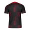 Nike FC Liverpool Academy Pro Prematch Shirt F688 - rot