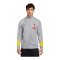 Nike FC Liverpool Academy Trainingsjacke 3rd Grau F078 - grau