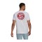 adidas FC Bayern München Street T-Shirt Weiss - weiss