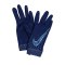 Nike CR7 Hyperwarm Handschuh Blau Lila F492 - blau