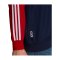 adidas FC Bayern München Sweatshirt Blau - blau