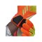 adidas Predator League NC Game Data TW-Handschuhe Rot Grün - orange