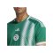 adidas Algerien Trikot Away 2022 Grün - gruen