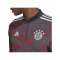 adidas FC Bayern München Trainingstop Rot - rot