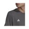adidas Messi Graphic T-Shirt Grau - grau