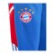 adidas FC Bayern München Trainingshose Kids Blau - blau