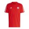 adidas FC Bayern München DNA T-Shirt Rot - rot