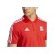 adidas FC Bayern München DNA Poloshirt - rot